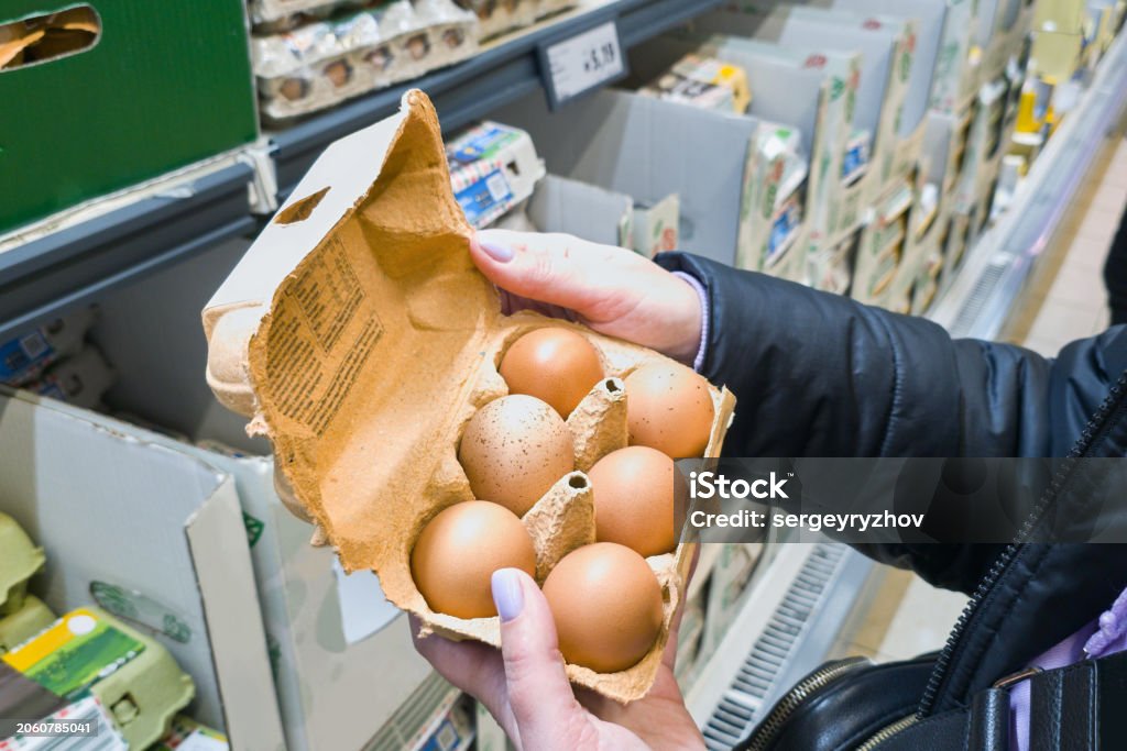畜産動物福祉向上のために